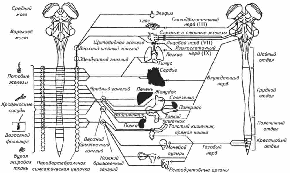 ��'���� ����������� ����볿� � ������� ������