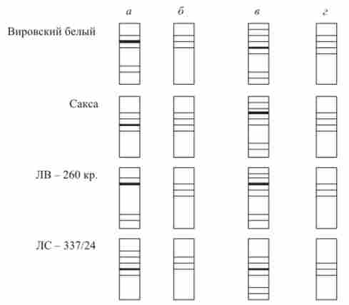 �������� ������� ����������� ������