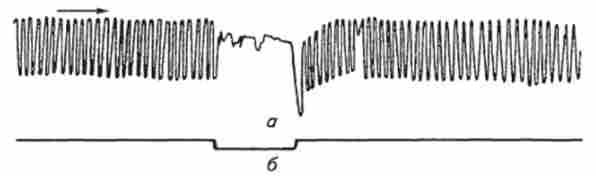 ����� ����������� ���������� ����� ������� �� �������. ������� ������� � ���䳿 �����