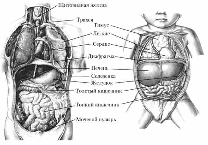 ������������ ��������� ������� ������� ������ � ������������� ������