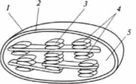 ����� ��������� ������ ���������� ����������� � �����