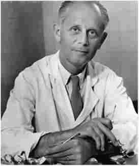 ���� ����� (Hans Hugo Bruno Selye) (1907-1982) - ���������� ����� � ����. �������� ������ ��� �����, ��������� �� ������ ���������� (������������) ������������� ��������