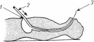 ������������ ��������� ��������� ����������