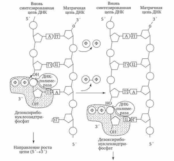 ��������� ��������� ���������� �� �������� ������� ���, �� ����������� �� ������ ���-���������