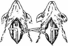 ���������� ��������