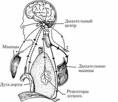 ������������ �� ����� �������������� ���������� ������