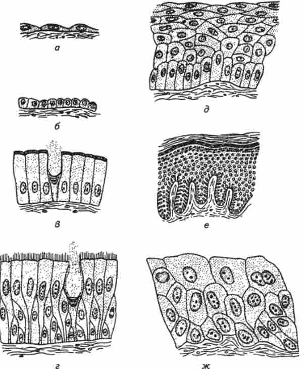 ���������� ������� (�� O.B. �������������� �� ������.)