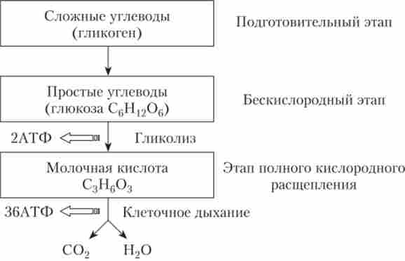 ����� ������� ������������� �����