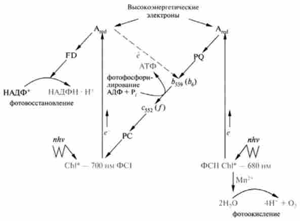 Z-����� ������ ���������� � ����� ���� ���������� (�� 1 � �� II)