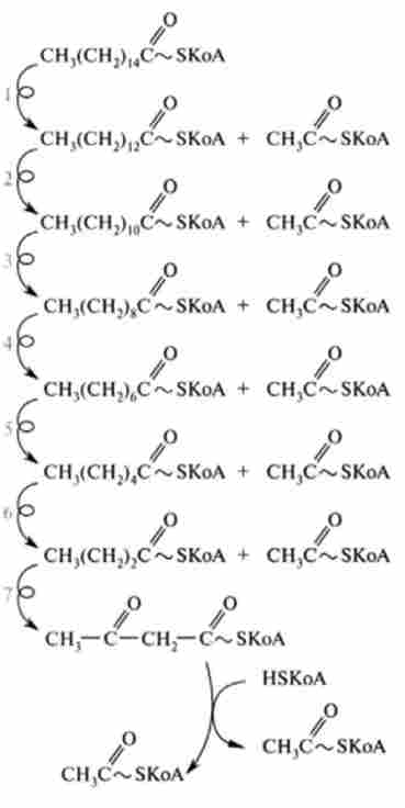 ����� ���������� ����������� ������� (�) ������ �-���������