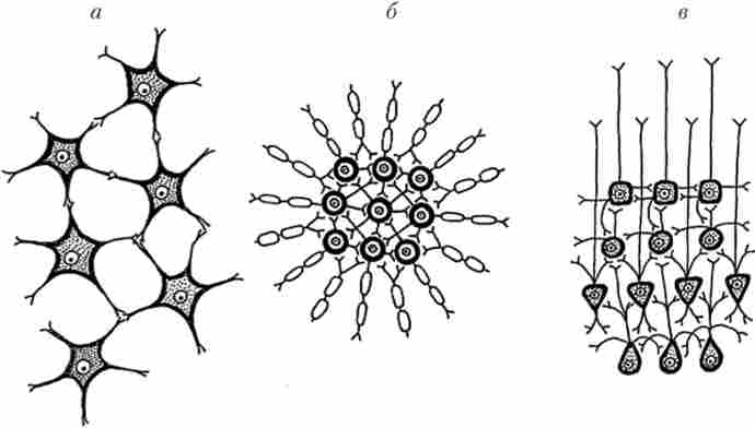 ���� ����������� ��������