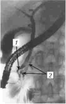 ����������� ����������������������