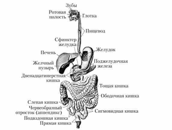 ������ ��������� ������