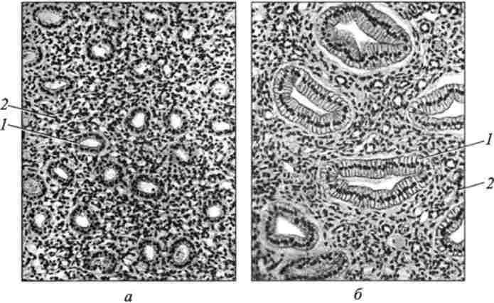 ����������� ������ �������� ��������� ����. ����������� ������������� � �������; ������ ��; ��'����� �40