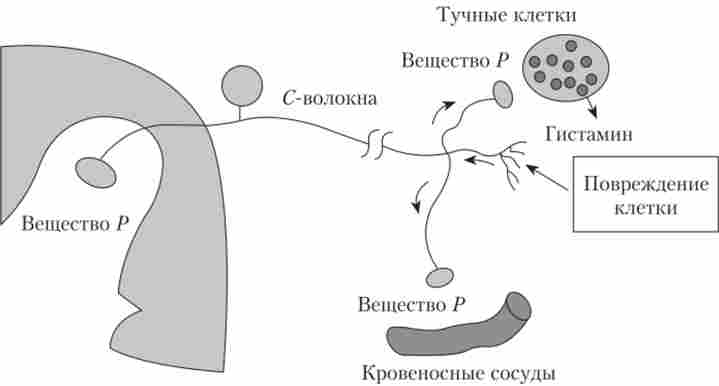 �������� � ���������� � ������������ �������� ��������� �������� � ������� �������� ������� (���������� �����, ����� ������� � ������ �����)