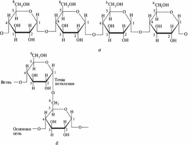 ������� �������� ��������