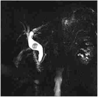 ��������� ���������