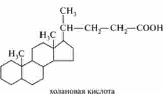 ����� ������� ������� ������