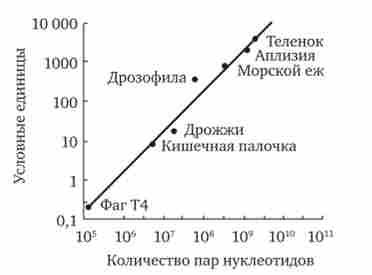 ���� ������ ���������� ������������ ������������� � ������� � ������ ����������� ��������