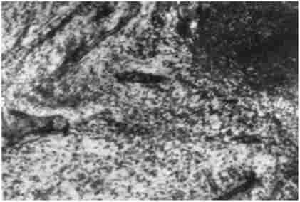 ���������� ������� ������, ����� ���� ���� ������