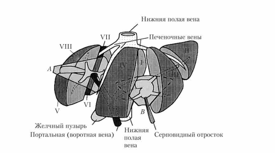 ����������� ������ ������� �� ����