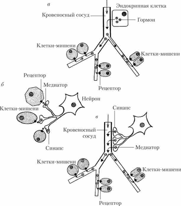 ��������� ���������� ��������