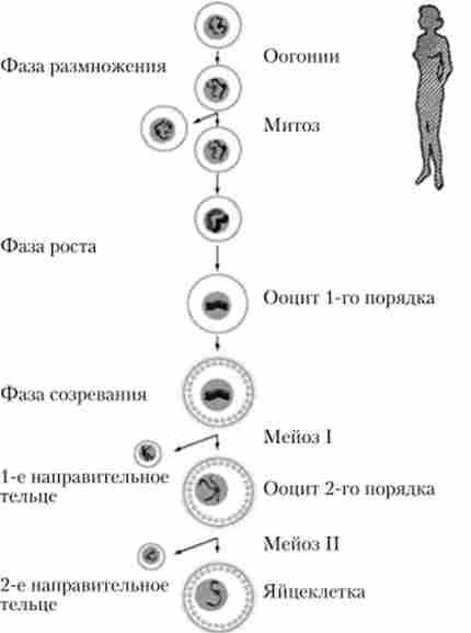 ���䳿 ��������