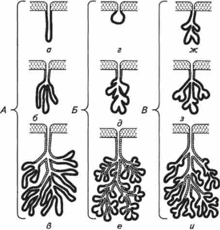 ������������ �����