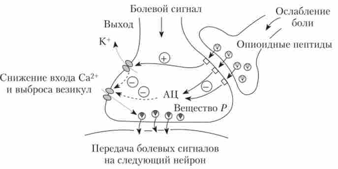 ����������� �������� ����������� ���������� �������� ������� �� ��������� ������� ������� �� ���� �������� �����