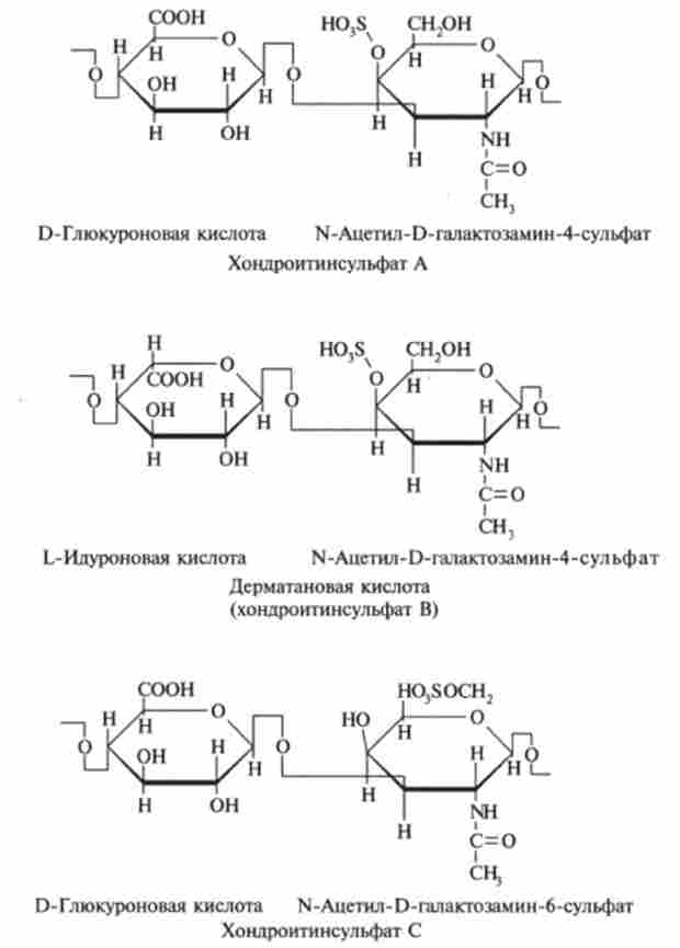 ��������������� ���������� ����������� �������� �������