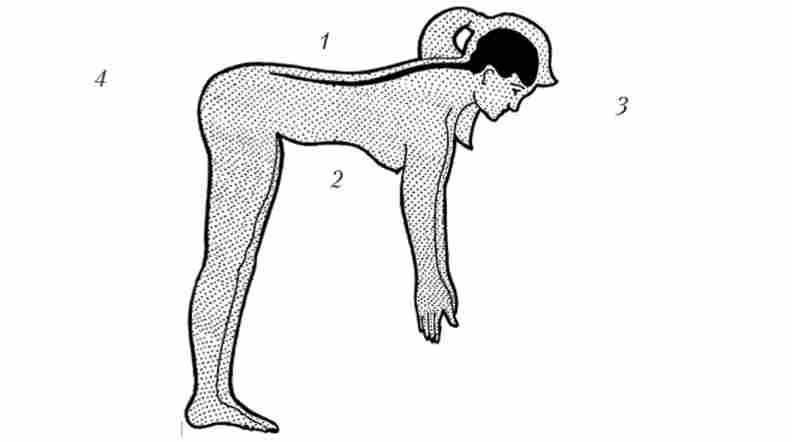 ������� ������� ��������� ����������