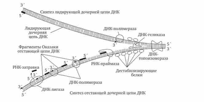 �����, �� ������ ������ � ������ ��������� ���