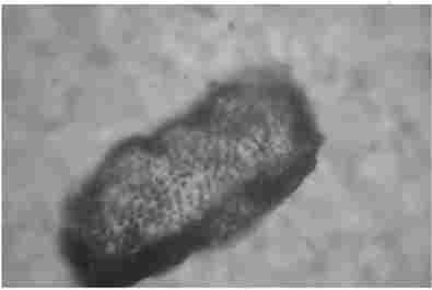 ������� ������� ���������� ������ ���� � ���. ���������� ��� ��������� ��������. ̳�������, �200