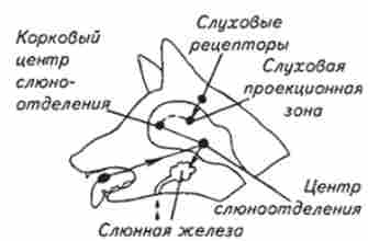 ����� ����� ��������� �������� �������� �� �������� ���������