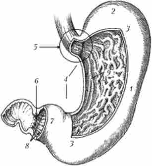 ������ ������ ������