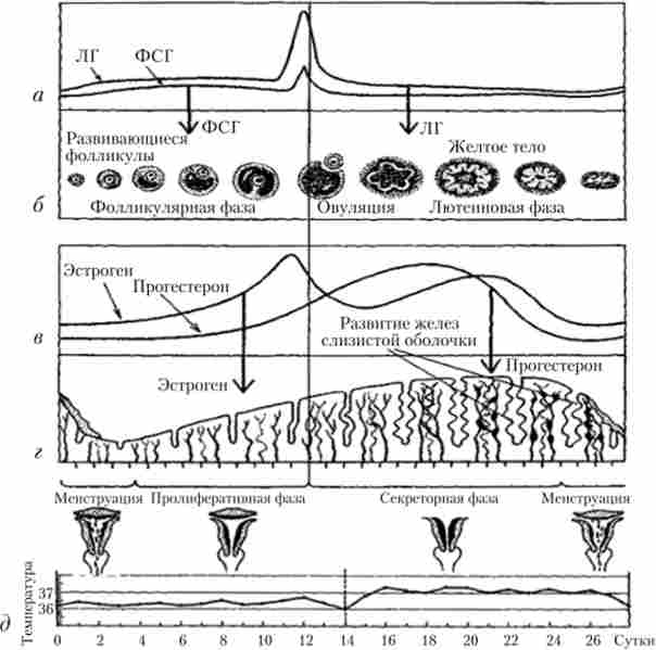 ���� �������� �������������� �����