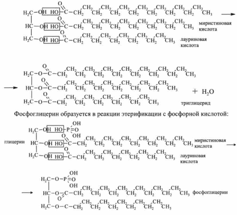 ��������� ������ ������� ���������������