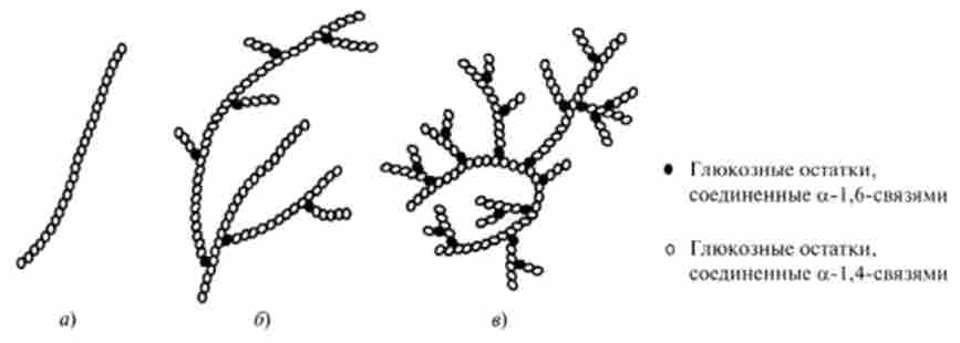 ��������� ������� ������ (�), ����������� (6) � �������� (�)