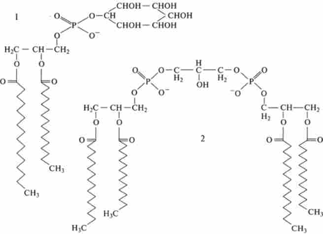 ������� ������ ������������� (/) � ���������� (2)