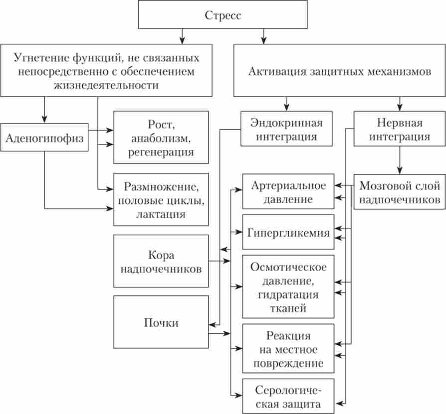 ����, �� ����������� ��� �����