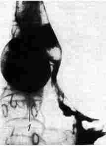 ������������� ���������� ��� ������������ ����������