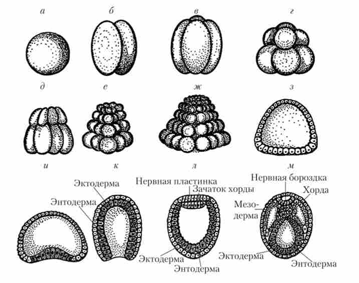 �������� ����� �����������