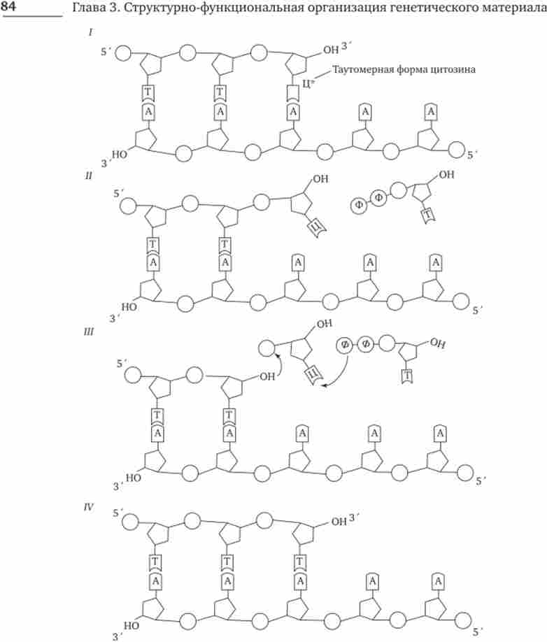 ����� ������� �������� ��� ������ ���