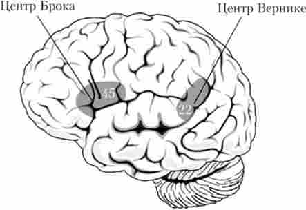 �������� ��� ����� ��������� �����