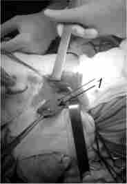 �������� ��������� ����������� �������