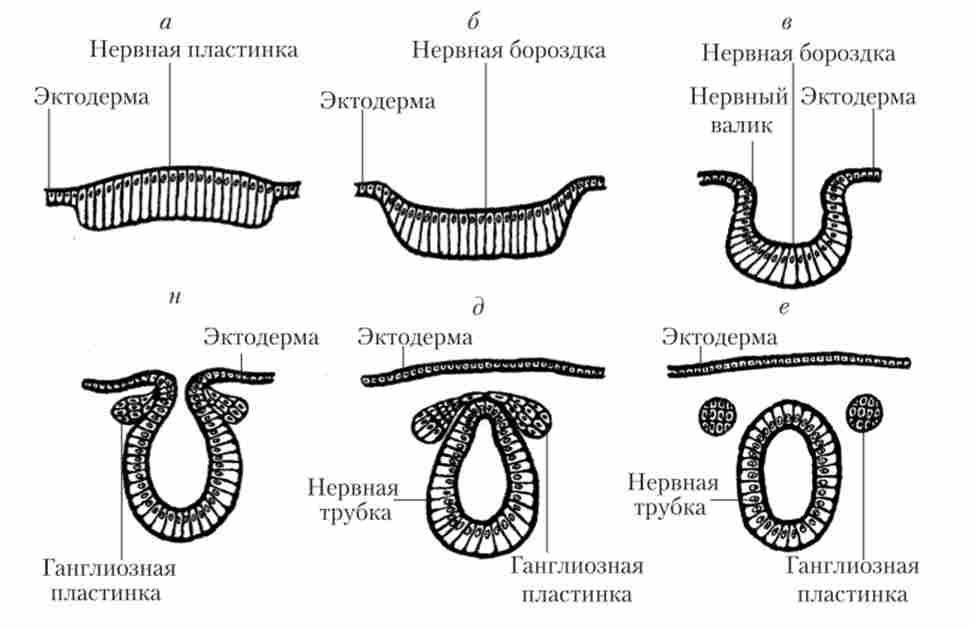 ���������� ����� �������� ������� ������� (���������� ����� ����� �������)