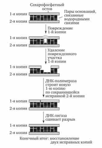 ����� ���������, ������������� ��������� ���