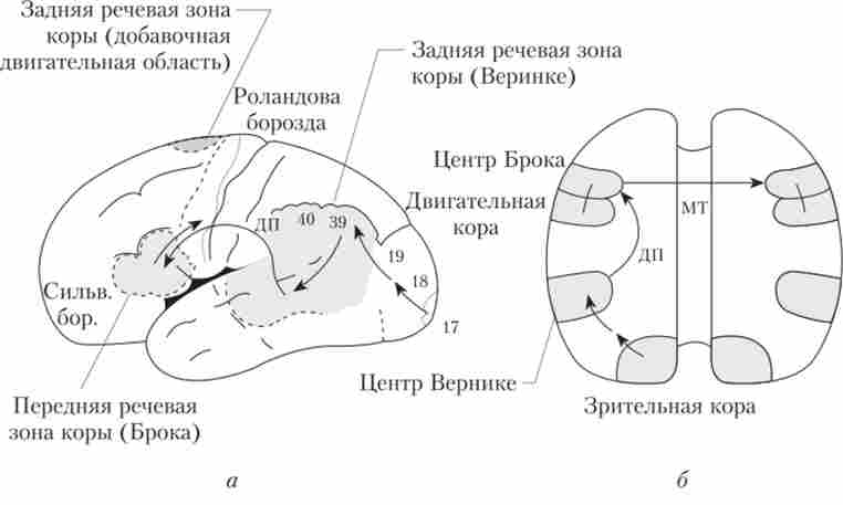 ����� �������� ��������, �� ������ ������ � ��������� �������� (�� �. ������)