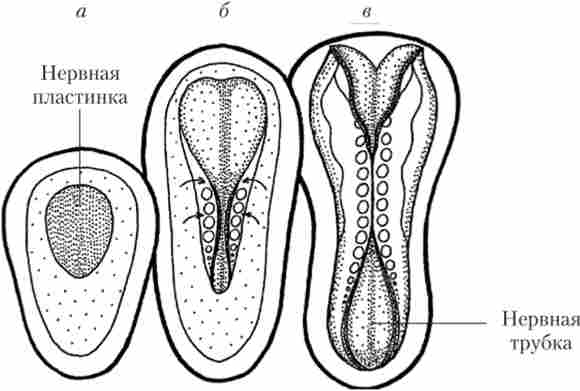 ����� ����� ������� ������