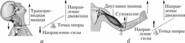 ����� ��� ������